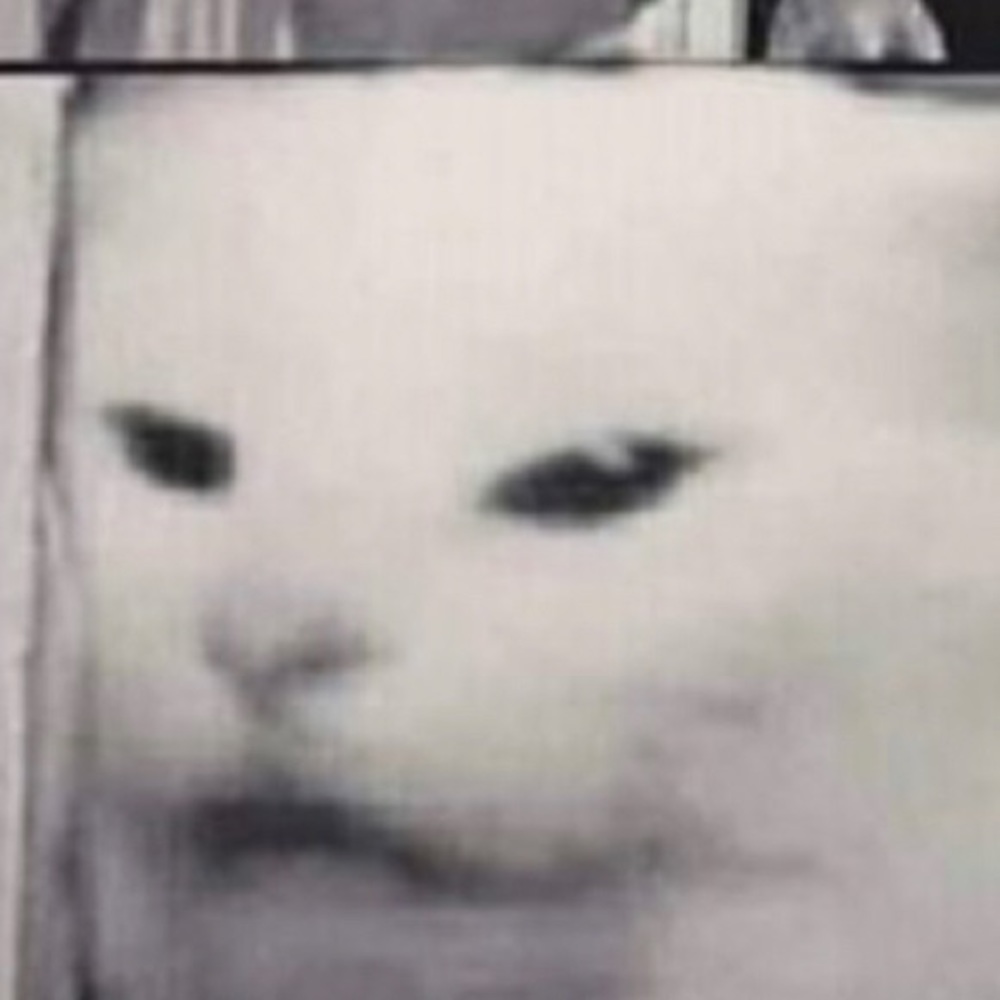 Meet your Posher, Alevtyna